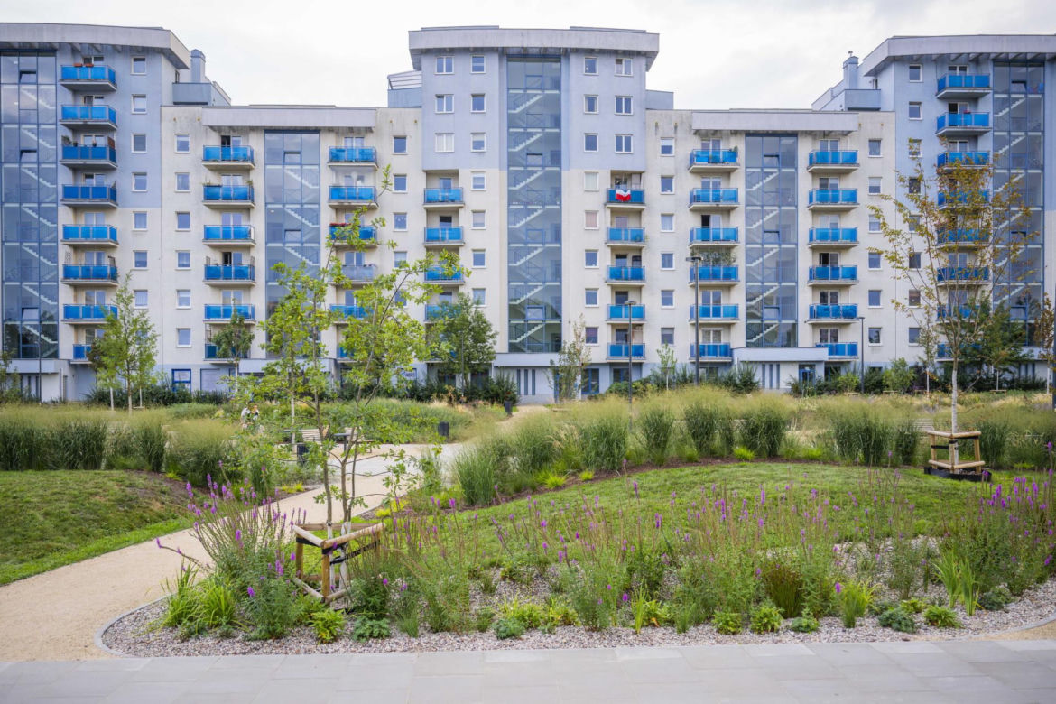 1000 drzew, 100 tysięcy krzewów i ogród zmysłów