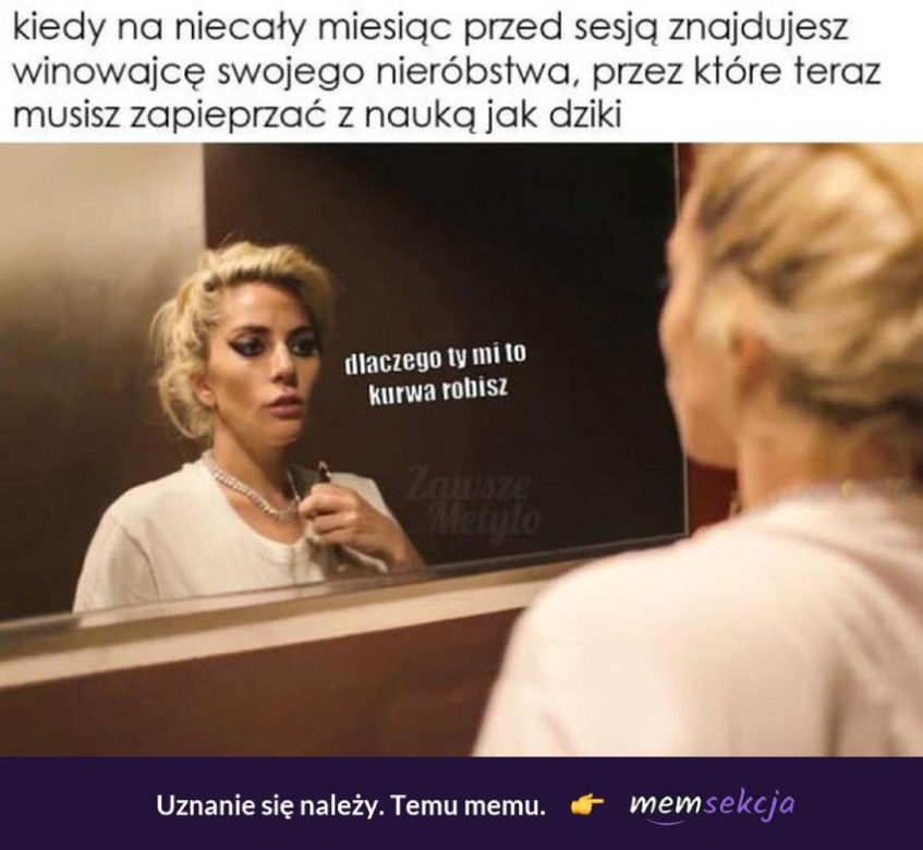 Tak studenci walczą o zaliczenie! Zobacz najlepsze MEMY o sesji!