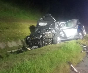Jeleń doprowadził do tragedii w Małopolsce