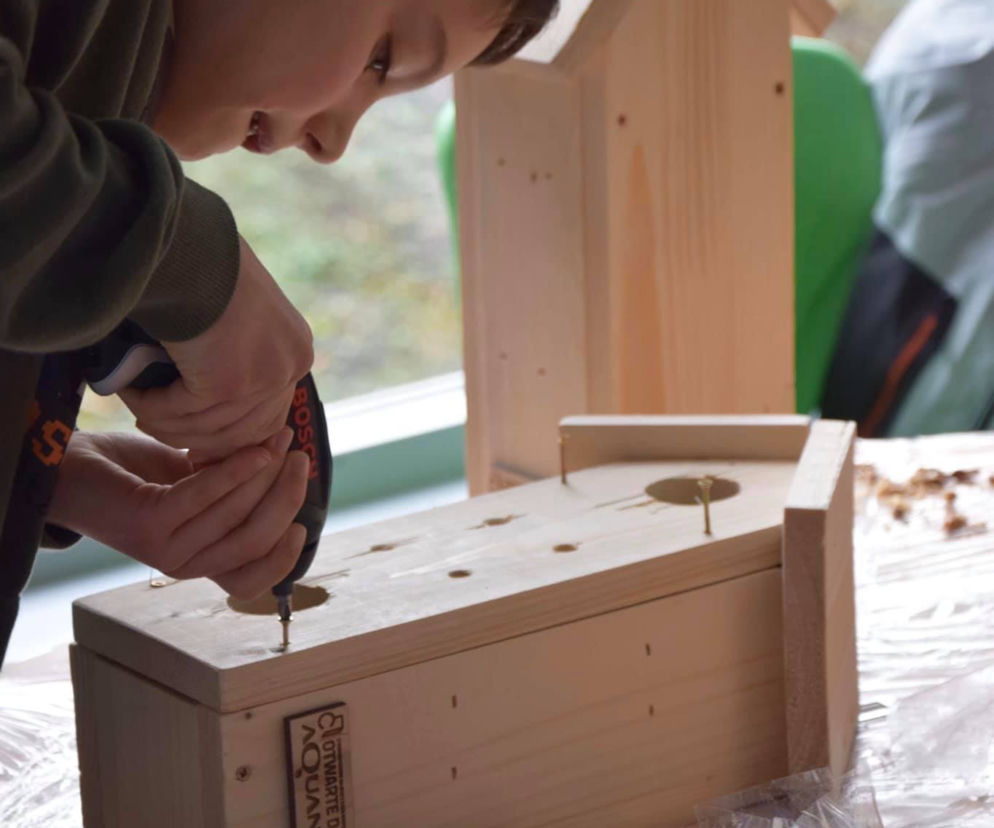 Projekt Ekoaktywni