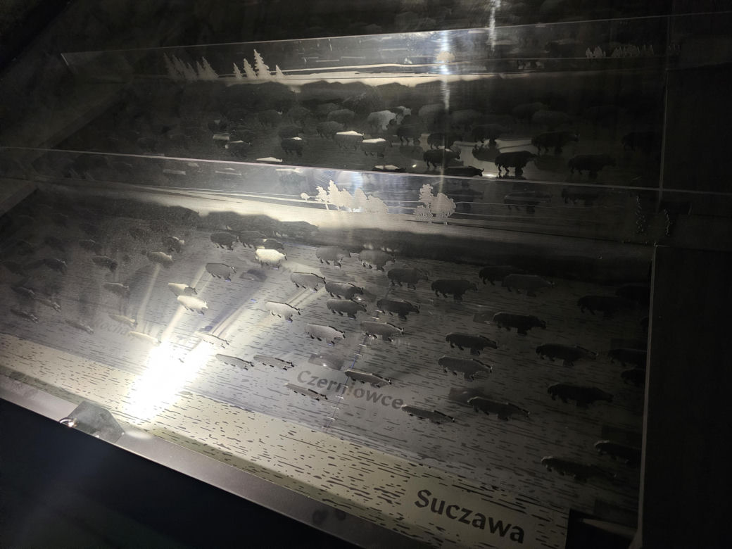 Noc Muzeów 2024 w Rzeszowie
