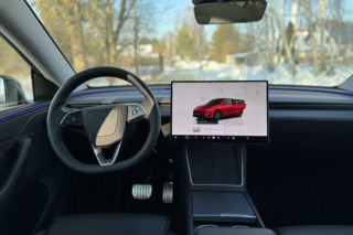 Model Y (Performance)