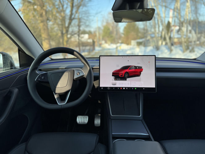 Model Y (Performance)