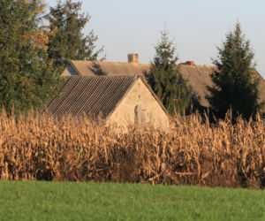 Podpalił zazdrosną żonę