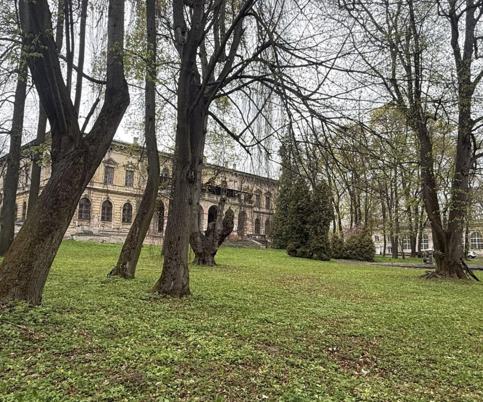 Pałac w Pilicy, wspaniała rezydencja która od dekad popada w ruinę