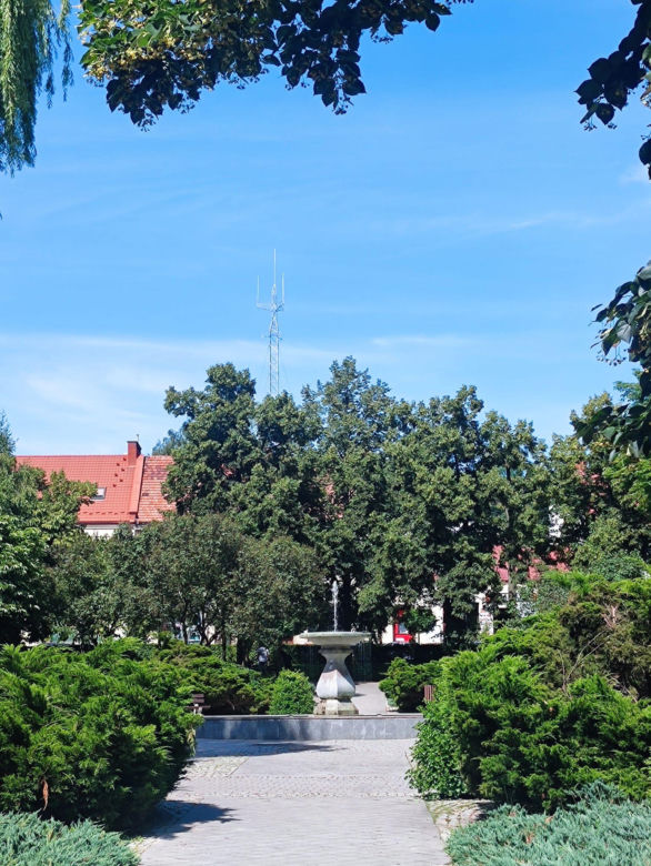 Zielony Rynek w Pińczowie