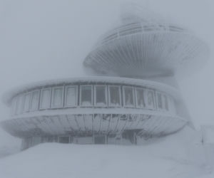 Śnieżka zasypana śniegiem