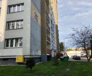 Blok, w którym zalęgły się insekty 