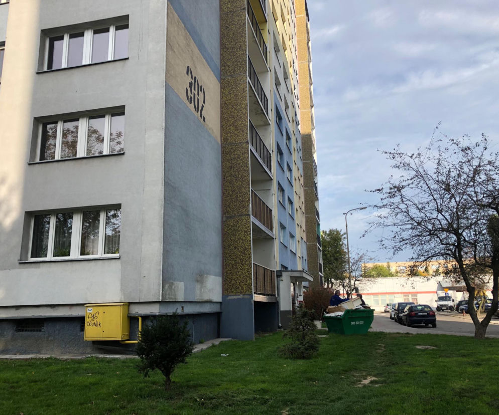 Blok, w którym zalęgły się insekty 