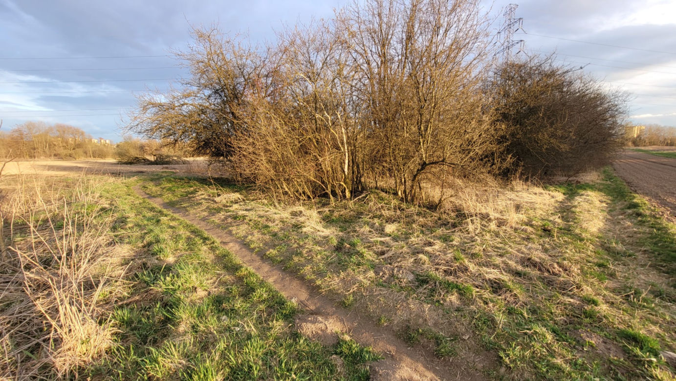 Mieszkańcy wzięli sprawy w swoje ręce i posprzątali Górkę Narodową. Pomogło im MPO