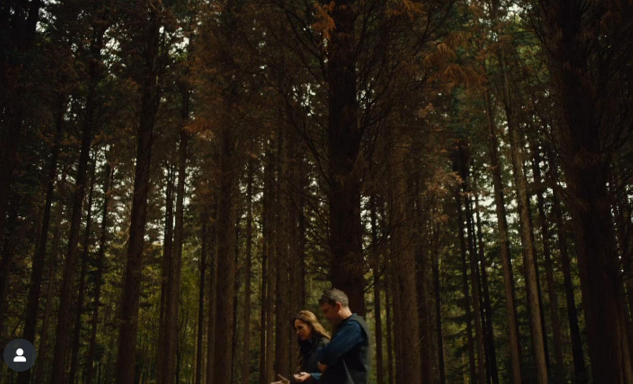 Księżna Kate jest jesieniarą! Nowy film może wzruszyć