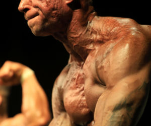 Debiuty kulturystyczne w Grudziądzu