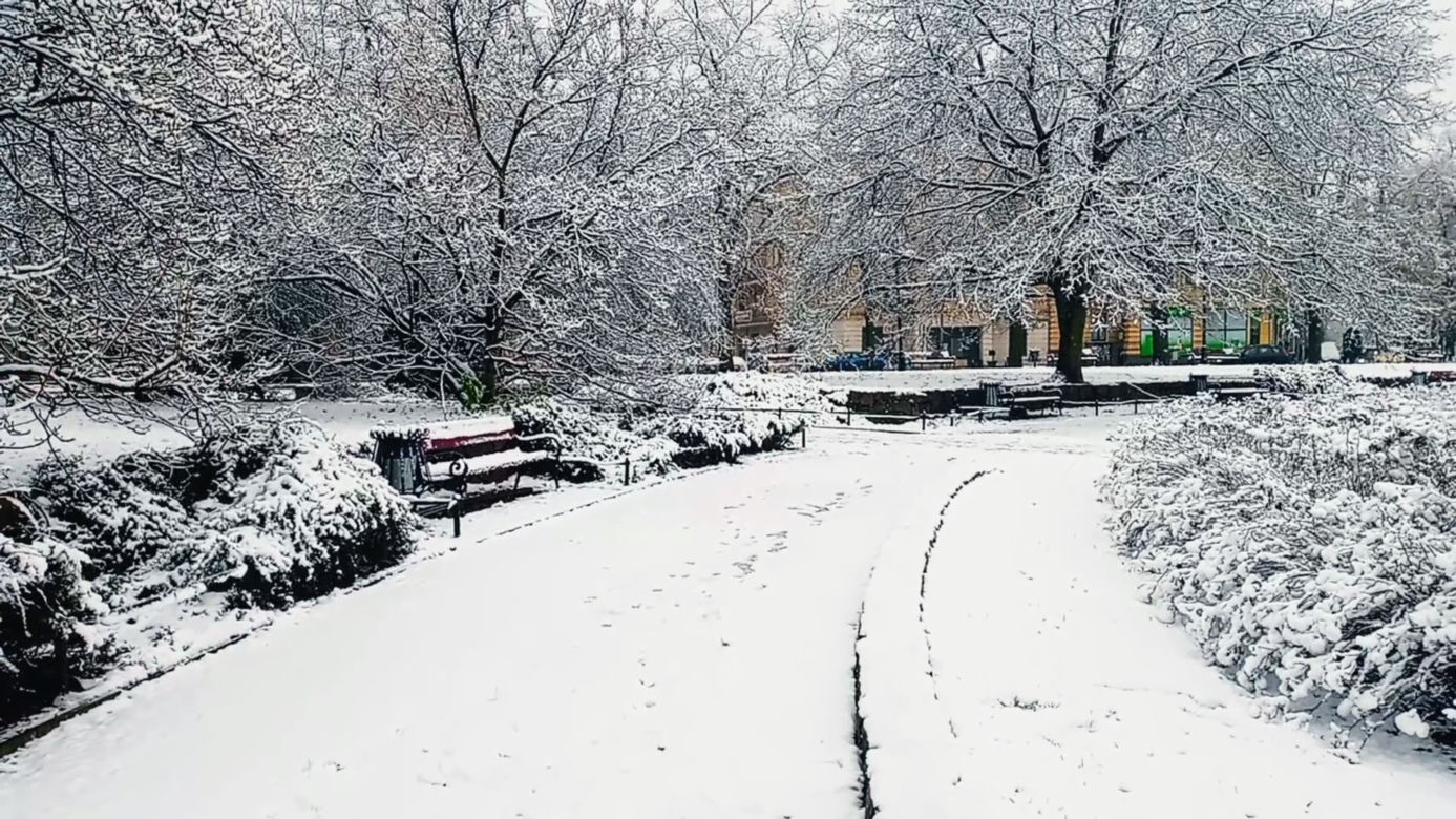 Pierwszy śnieg w Szczecinie