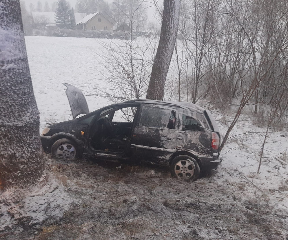 Wypadek w Pakoszach. Straciła panowanie nad autem i uderzyła w drzewo [FOTO]