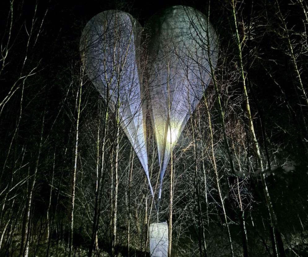 Rozbito grupę przestępczą odpowiedzialną za 160 balonów z papierosami