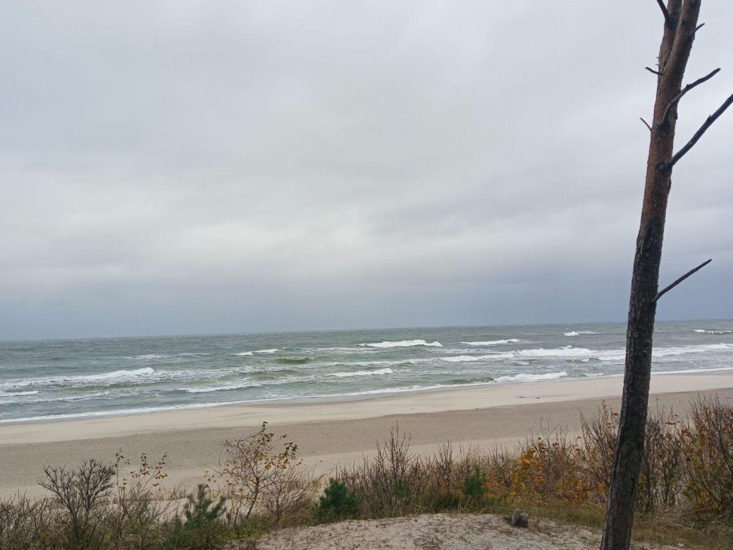 Polskie wybrzeże poza sezonem. Te plaże warto odwiedzić jesienią i zimą 
