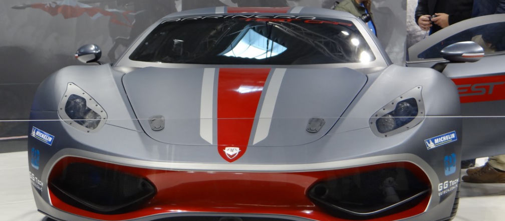Arrinera Hussarya 