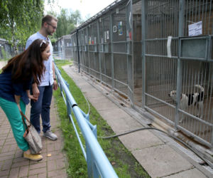 Poseł odwiedził schronisko