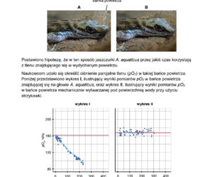 Odpowiedzi do arkusza maturalnego CKE - biologia rozszerzona 2026