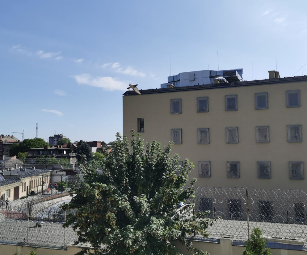 Ostrów. Prezesowi MZGM kończy się areszt tymczasowy. Jest decyja sądu