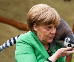 Merkel obsiadły papugi