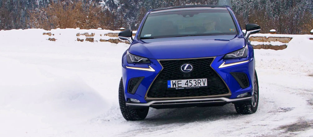 Lexus NX 300h AWD F Sport