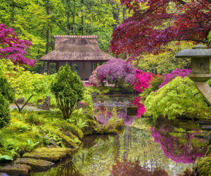 Ogród japoński