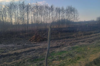 Wiosenna plaga: Pożary traw. Na zdjęciach akcja gaśnicza w Nowych Żukowicach