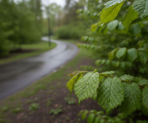 Pogoda na weekend w Opolu 24-26 kwietnia. W niedzielę nadejdzie ochłodzenie i deszcz