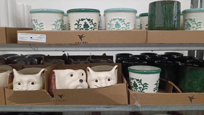 Festiwal Roślin w Enea Arenie