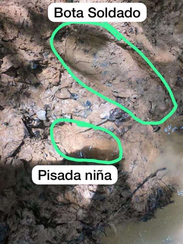 Czwórka dzieci przeżyła katastrofę samolotu w dżungli. Trwają poszukiwania
