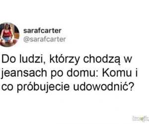 Memy o kwarantannie
