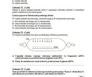 Matura 2013 biologia p. podstawowy