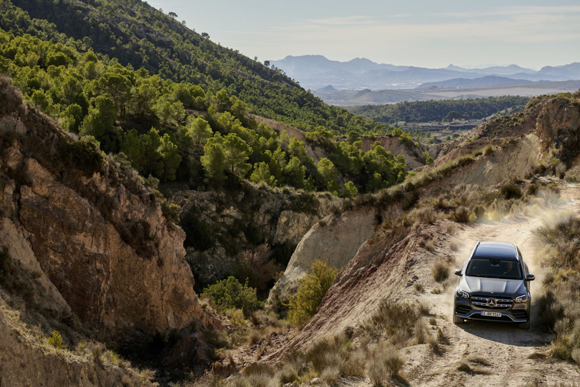 Mercedes-Benz GLS (2020) AMG Line