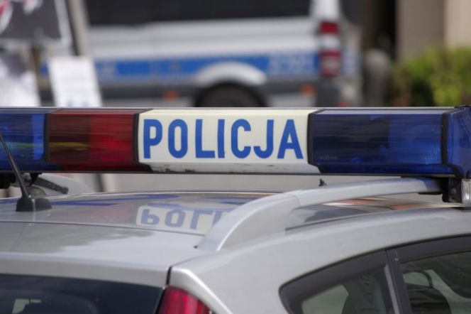 policja
