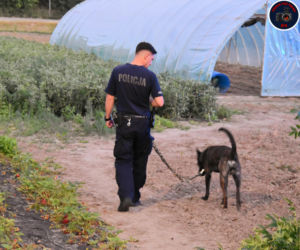 Pijacki rajd na Rajdowej. Totalna demolka