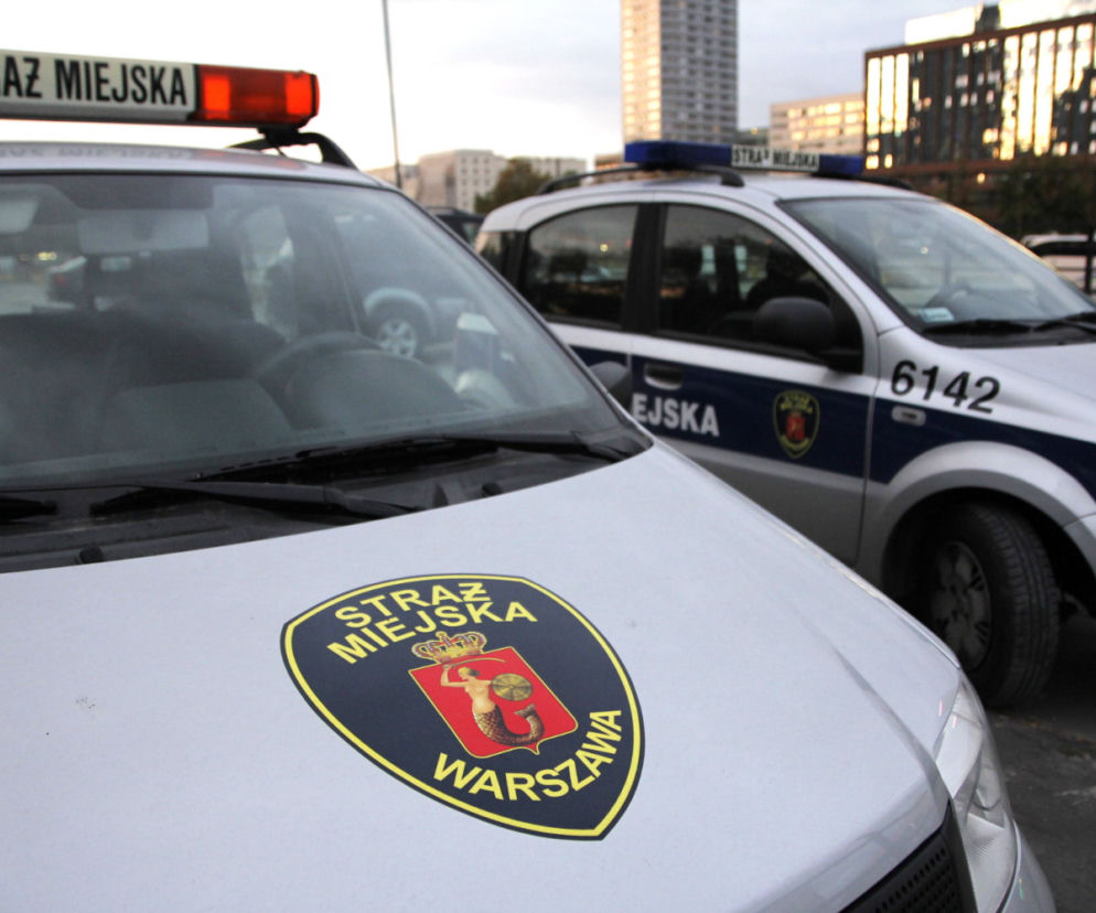 Były wychudzone i zaniedbane - toruńscy strażnicy z eko-patrolu pomogli zaniedbanym psom