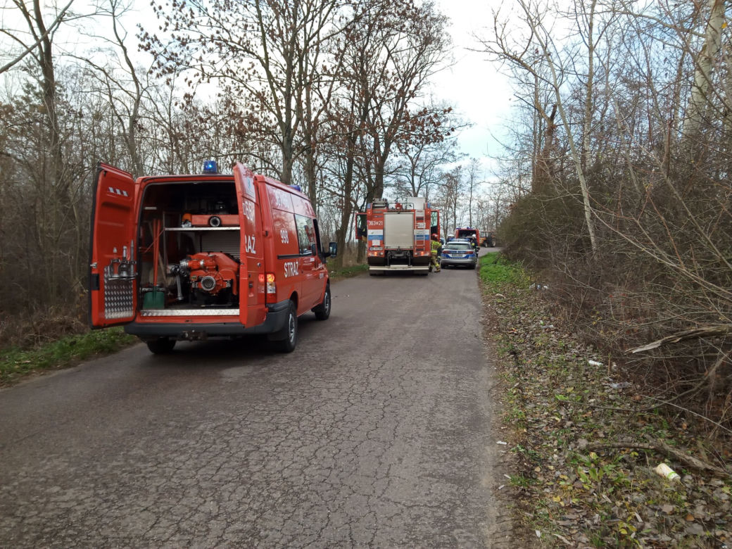 Płock: FATALNIE wyglądający wypadek! Uderzył w drzewo!