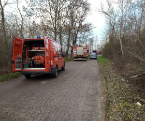 Płock: FATALNIE wyglądający wypadek! Uderzył w drzewo!