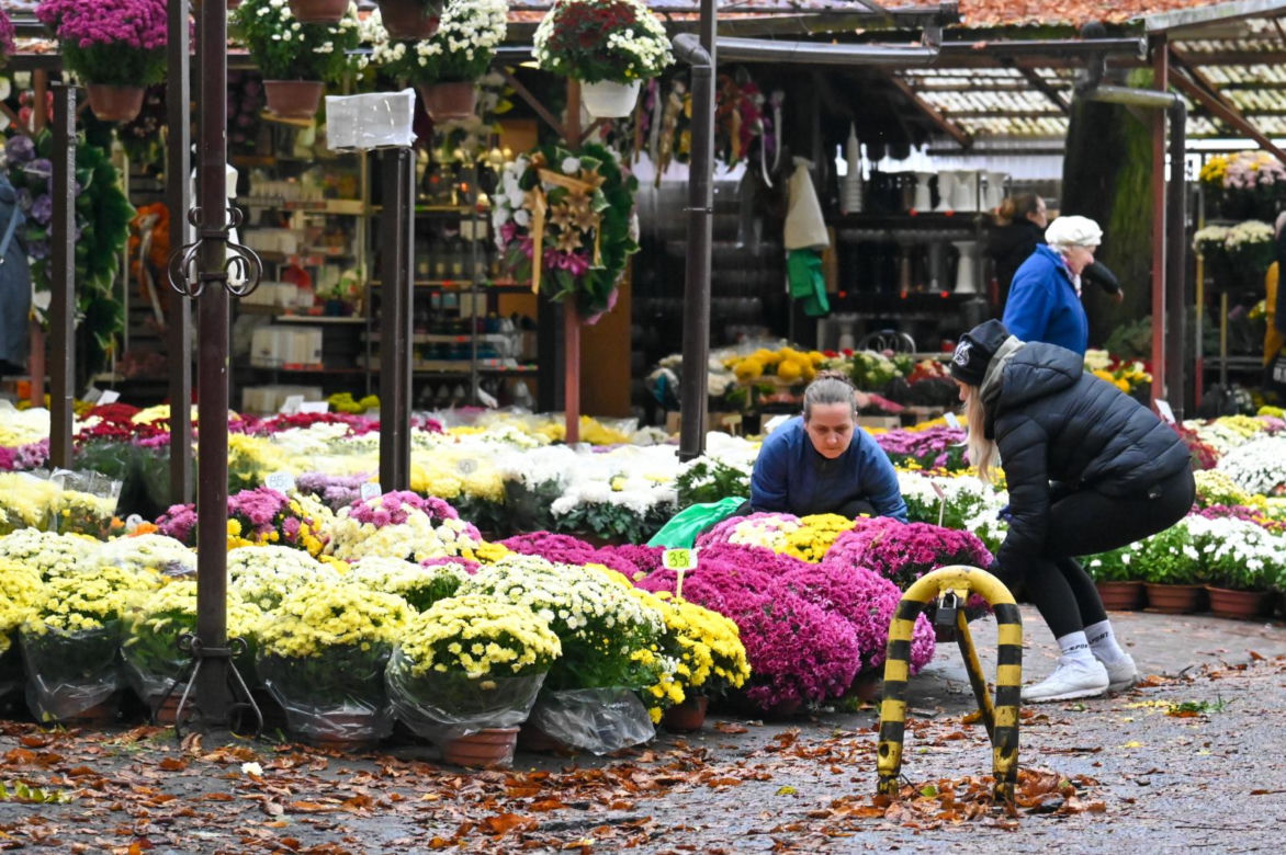 Porządki na Cmentarzu Centralnym w Szczecinie