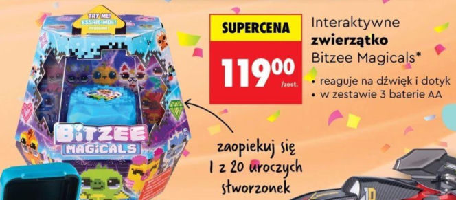 Blitzee w Biedronce