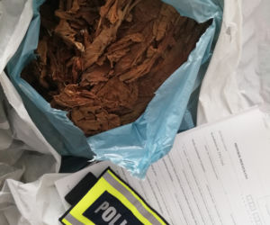 Łódzkie: Miały rosnąć pomidory, rosła MARIHUANA! 63-latek miał FABRYKĘ narkotyków 