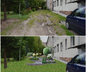 W Olsztynie powstają ogrody deszczowe. Co to takiego? [ZDJĘCIA]