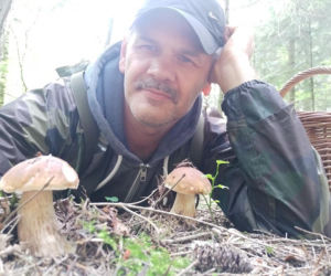 Król starachowickich lasów Samotny Wilk