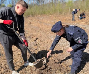 Na terenie Nadleśnictwa Siedlce w Golicach policjanci z IPA rejonu siedleckiego zasadzili nowy las