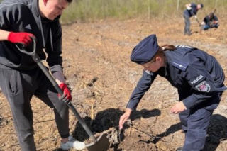 Na terenie Nadleśnictwa Siedlce w Golicach policjanci z IPA rejonu siedleckiego zasadzili nowy las