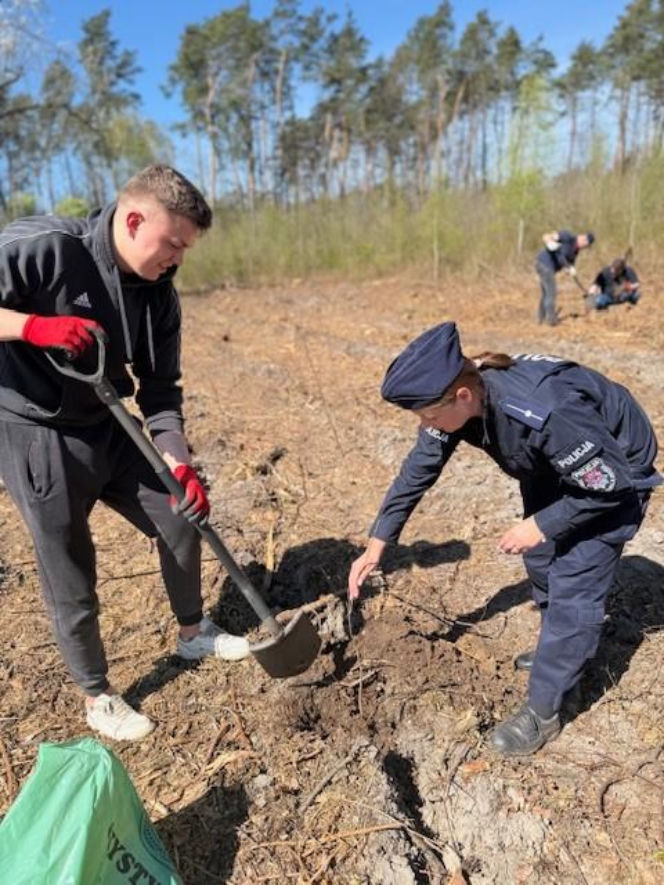 Na terenie Nadleśnictwa Siedlce w Golicach policjanci z IPA rejonu siedleckiego zasadzili nowy las