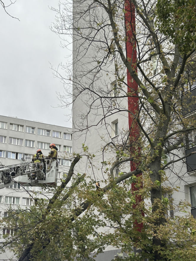 Burze nad Polską. Setki interwencji, tysiące domów bez prądu. IMGW ostrzega. Gdzie będzie najgorzej?