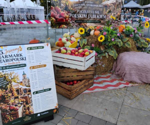 5. Jesienny Jarmark Staropolski w centrum Siedlec