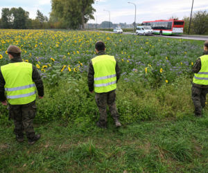 Służby przeszukują teren w okolicy Zalewu Zemborzyckiego